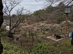 IMG_0438.jpg