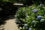 P1120366.jpg